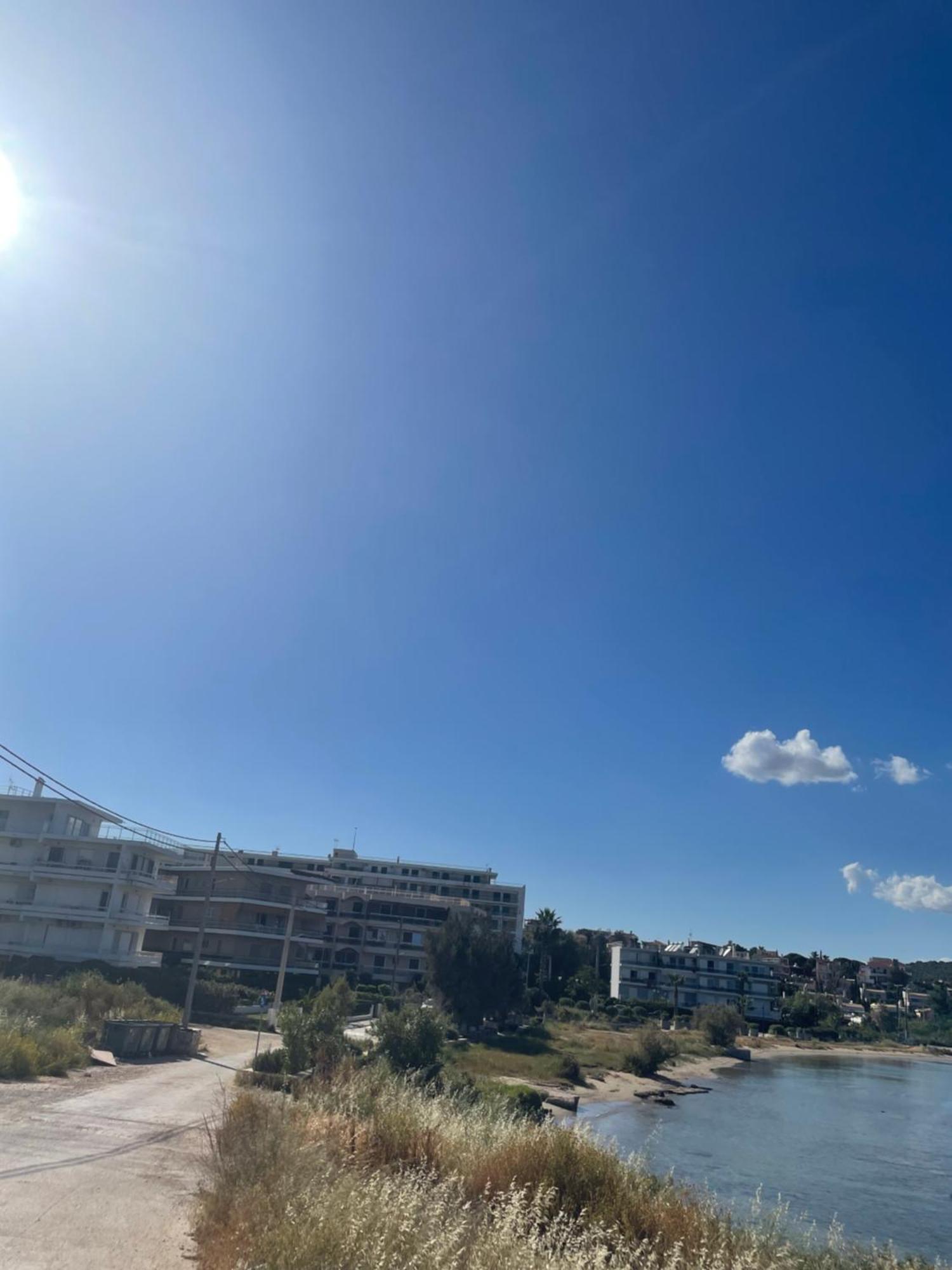 Seaside Argo *